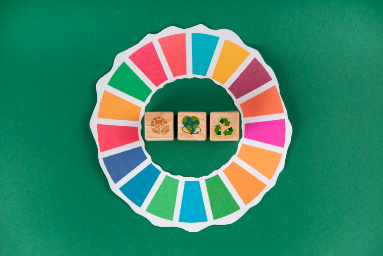 Integração da Sustentabilidade na estratégia organizacional / Integrating sustainability into organisational strategy