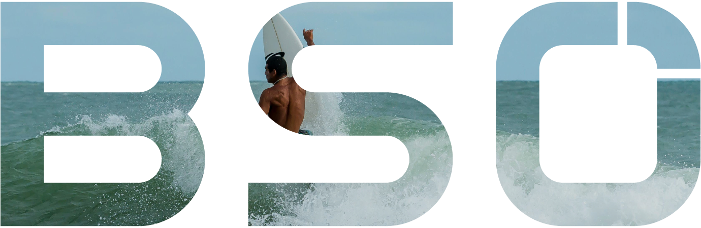 Trabalhar na BSO - Carreiras